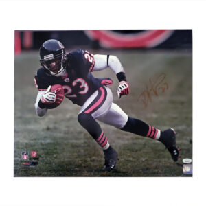 16x20 Photograph of Chicago Bears Player Devin Hester, Hand-Signed
